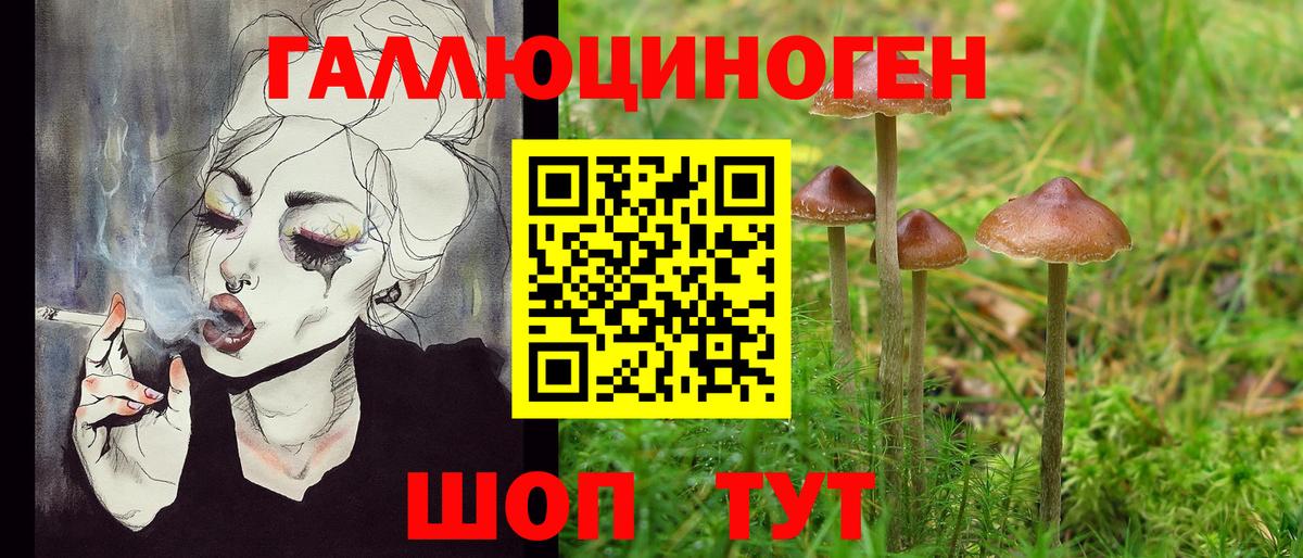 Севастополь  Галлюциногенные грибы Magic Shrooms  Галлюциногенные грибы мицелий  Вход с VPN 
